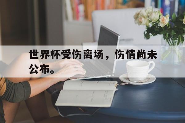 海星体育直播-世界杯受伤离场，伤情尚未公布。