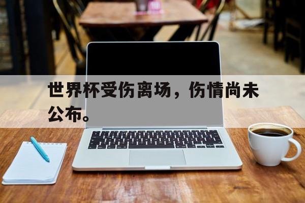 海星体育直播-世界杯受伤离场，伤情尚未公布。