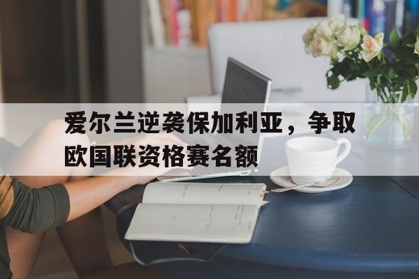 海星体育-爱尔兰逆袭保加利亚，争取欧国联资格赛名额